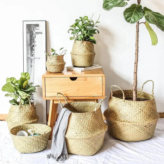 Mir Cache Pot en Osier Tressé Naturel - Polyvalent et Élégant pour Décoration Intérieure Les paniers et Cabas de Sophie