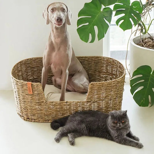 Rattan Dog Nest Cat Bed House Four Seasons Cat Scratch Board Waterproof Environmental Protection Big Pet Supplies Products Les paniers et Cabas de Sophie